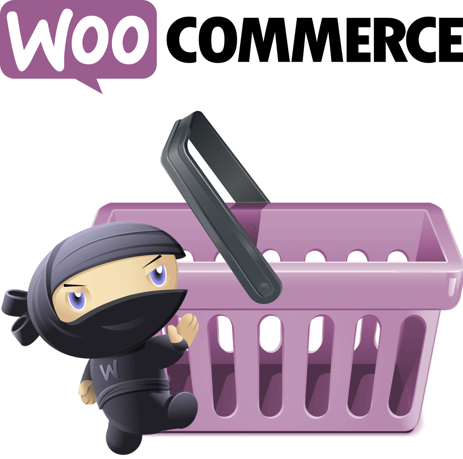 WooCommerce Store Setup Eluxoroma Technologies